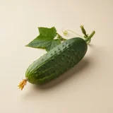 Cucumber