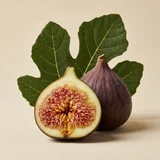 Fig